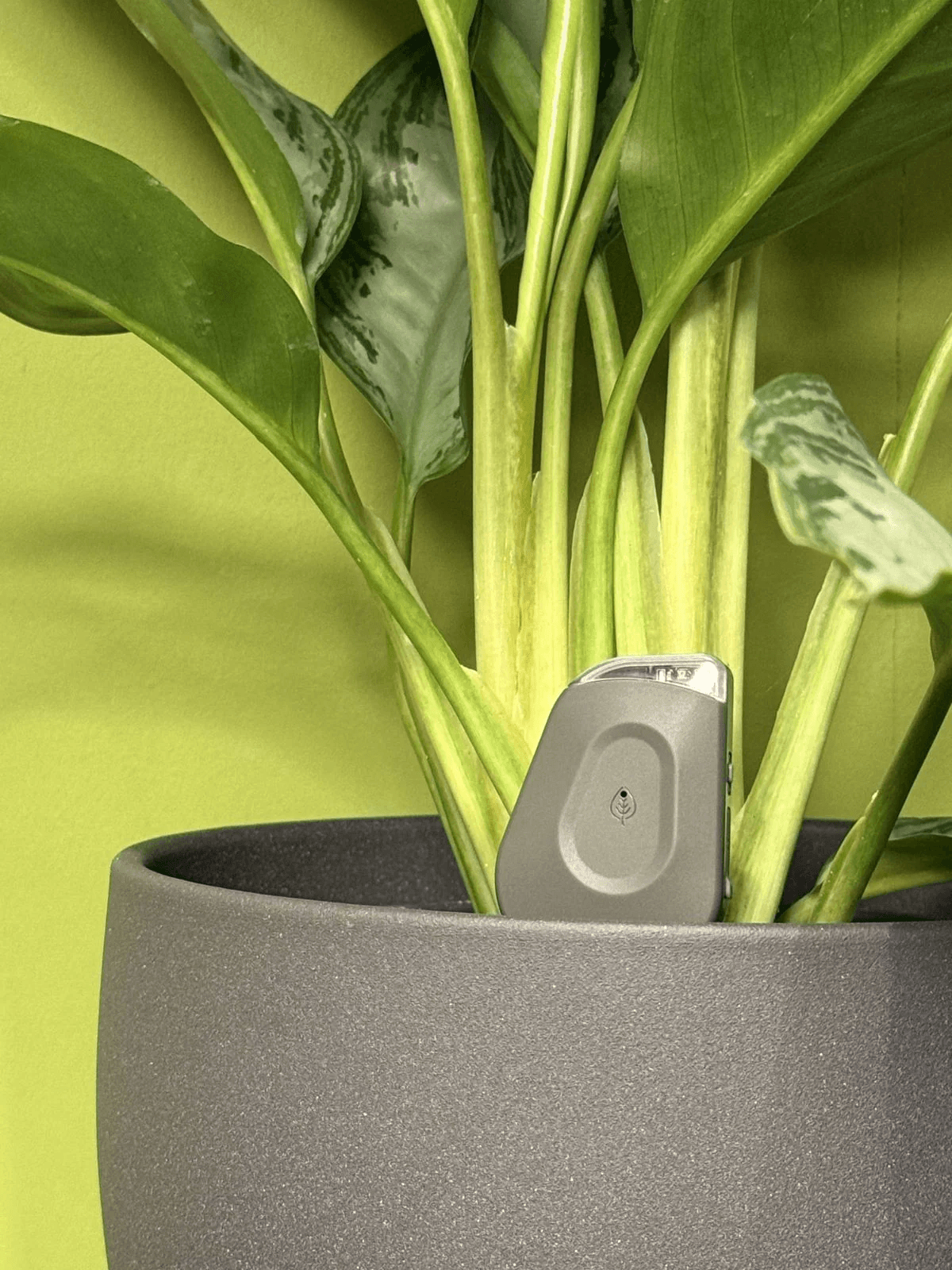 Plant Management Software